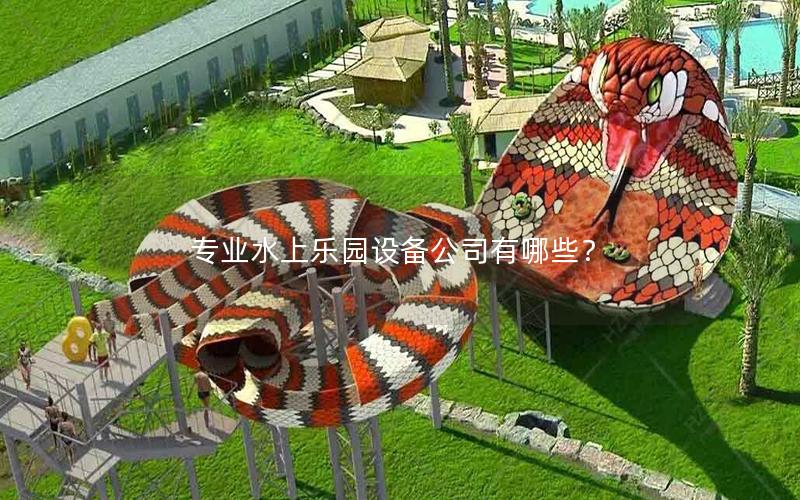 專業(yè)水上樂園設(shè)備公司有哪些？